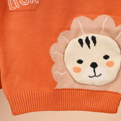 Winter Warm Woollen Full Sleeve Sweater For Baby | Lion | Pack of 1