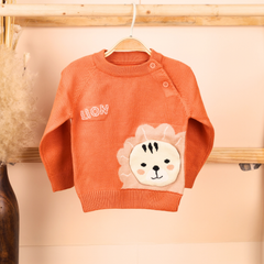 Winter Warm Woollen Full Sleeve Sweater For Baby | Lion | Pack of 1