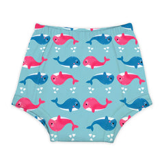 100% Cotton Unisex Baby Padded Underwear | Pack Of 1